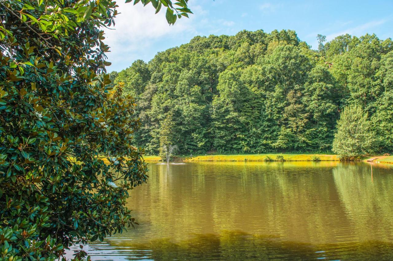 Star Seasons Retreat Villa Ellijay Buitenkant foto